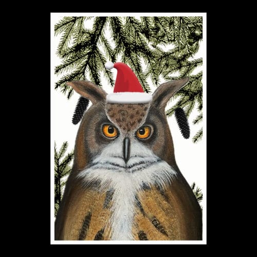 Joulukortti - Pöllön jouluilo