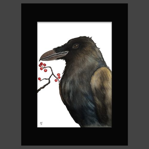 Korppi vesivärissä, marjojen vieressä mustassa paspatuurissa