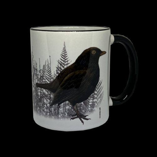 Muki, jossa mustarastas ja saniaiset