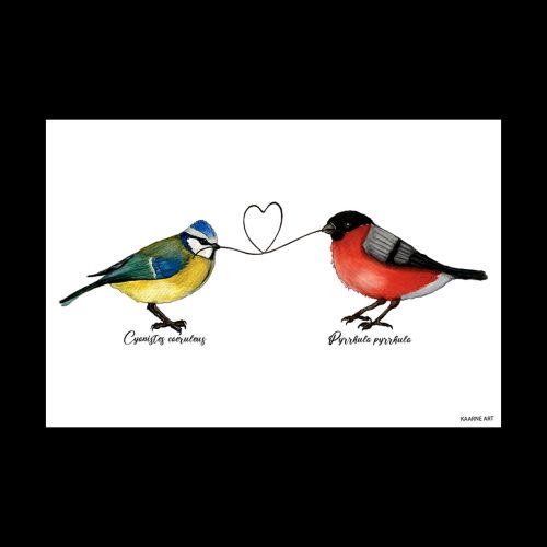 "Lintuystävät" - taittokortti 10x15