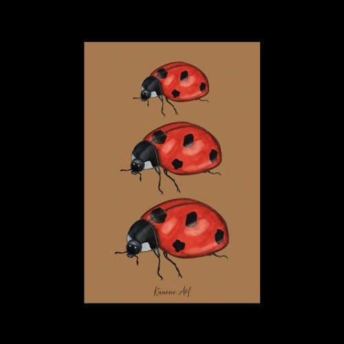 "Leppäkerttu" - taittokortti 10x15