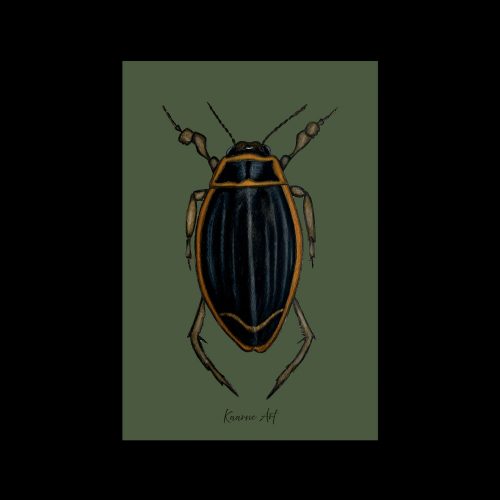 "Sukeltaja" - taittokortti 10x15