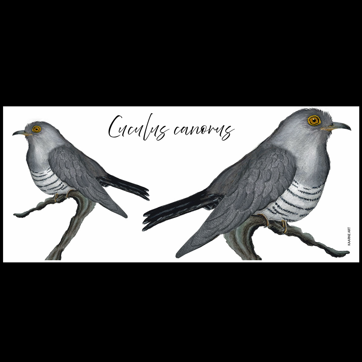 Keraaminen muki - "Cuculus canorus" (2,9dl) - Image 2
